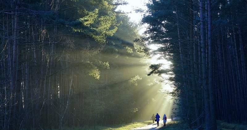 Randonnées spectaculaires dans les parcs naturels d'Amérique : nos itinéraires secrets