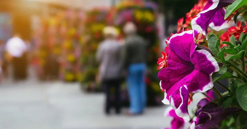 Les fêtes insolites les plus fascinantes en Europe
